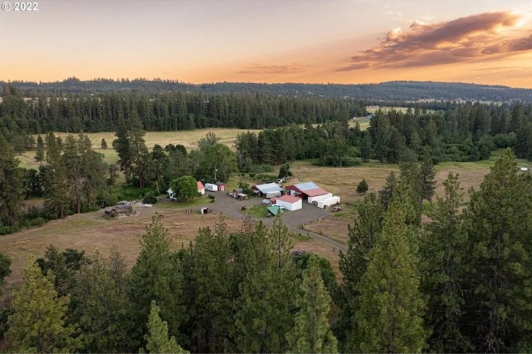 Goldendale ranch 768x511